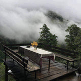 AAAA variants breaker