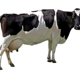 Test product no delivery